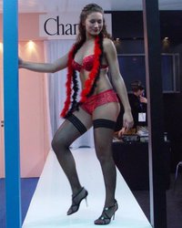 Allure lingerie show: Fashion Exposed, Sydney images Image 7