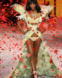 Fashion Model Nips, Slips Pokies pics Image 12
