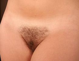 Beautiful hairy pussies shots Image 4