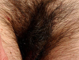 Busty slut with a hairy pussy pics Image 5