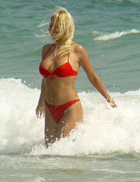 A busty bikini girl undressing on the Rarawa Nudist Image 9