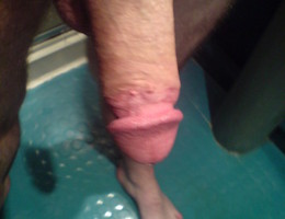 Gorgeous Cocks gellery Image 3