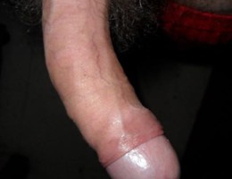 My Favorite Indian Cocks gal Image 4