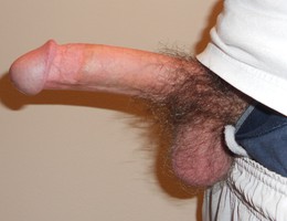 Fat Cocks I would Love to Suck photos Image 7