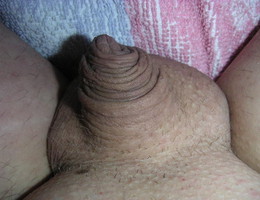 My tiny dick galery Image 3