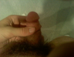 My small thick cock images Image 6