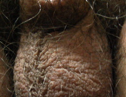 I love my small cock  gellery Image 3
