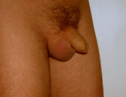 More adorable small cock pics Image 3