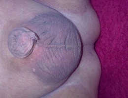 My small cock embarrass me set Image 6