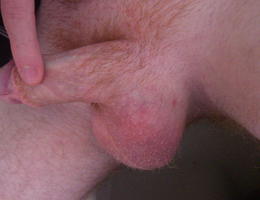 My small cock embarrass me set Image 8