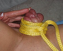 i08.jpg