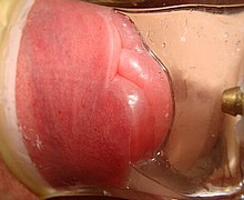 ab045.jpg
