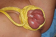 i03.jpg