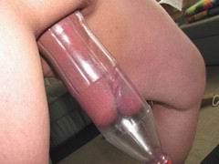 cock01.jpg