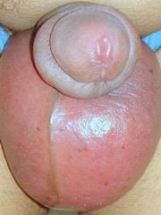 gh04.jpg