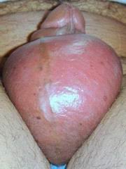 gh06.jpg