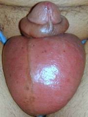 gh05.jpg