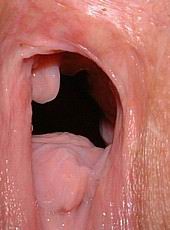 pussygape142.jpg