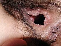 pussygape166.jpg