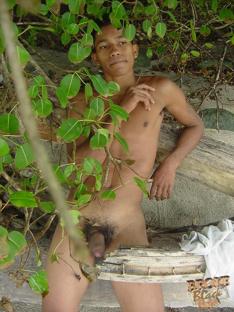gay porn