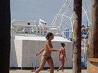 005.jpg