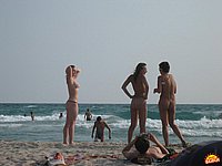 005.jpg