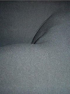 77667149.jpg