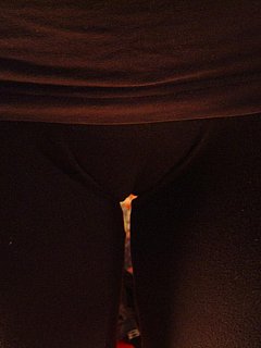 08554784.jpg