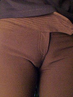 44859509.jpg