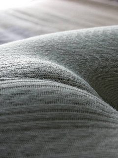 81372648.jpg