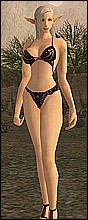 lineage 2 porn