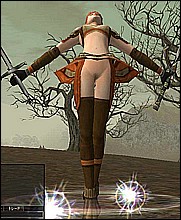 lineage 2 elf
