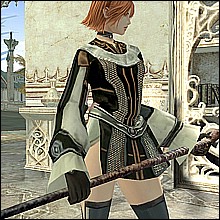 lineage2 pics