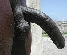 895305182.jpg