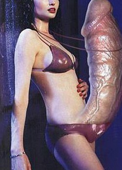 Dick Girls Erotica
