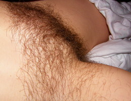Favorite hairy babes pictures Image 8