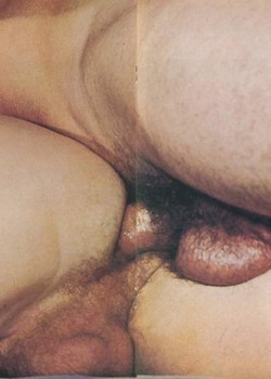 Classic Gay Porn Photos