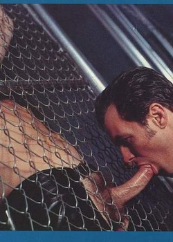 Classic Gay Porn Photos