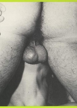 Classic Gay Porn Photos