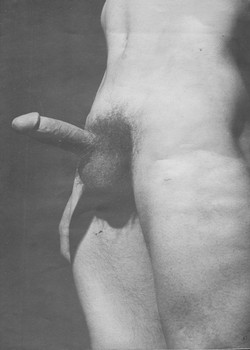 Classic Gay Porn Photos