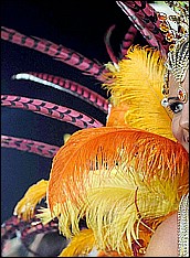  brazil nude sex carnival