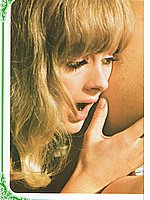Vintage Porn Magazines