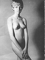 Vintage Porn Magazines