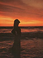 Vintage Porn Magazines