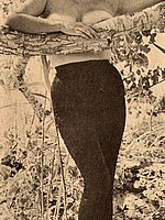 Vintage Porn Magazines