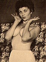 Vintage Porn Magazines