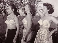 Vintage Porn Magazines