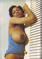 Vintage Porn Magazines