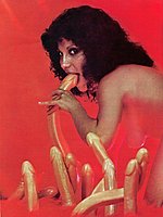 Vintage Porn Magazines