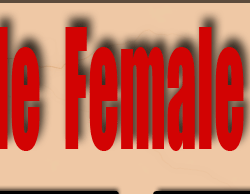 Female bodybuilders